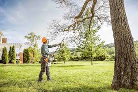 Best Lawn Irrigation Installation and Maintenance  in Marion, VA