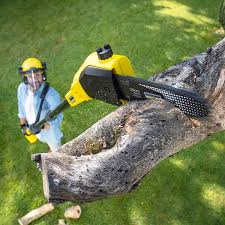Lawn Drainage Solutions in Marion, VA