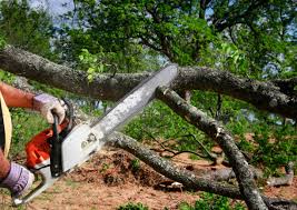 Best Lot and Land Clearing  in Marion, VA